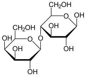 Molécule de lactose